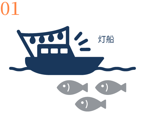 魚群発見